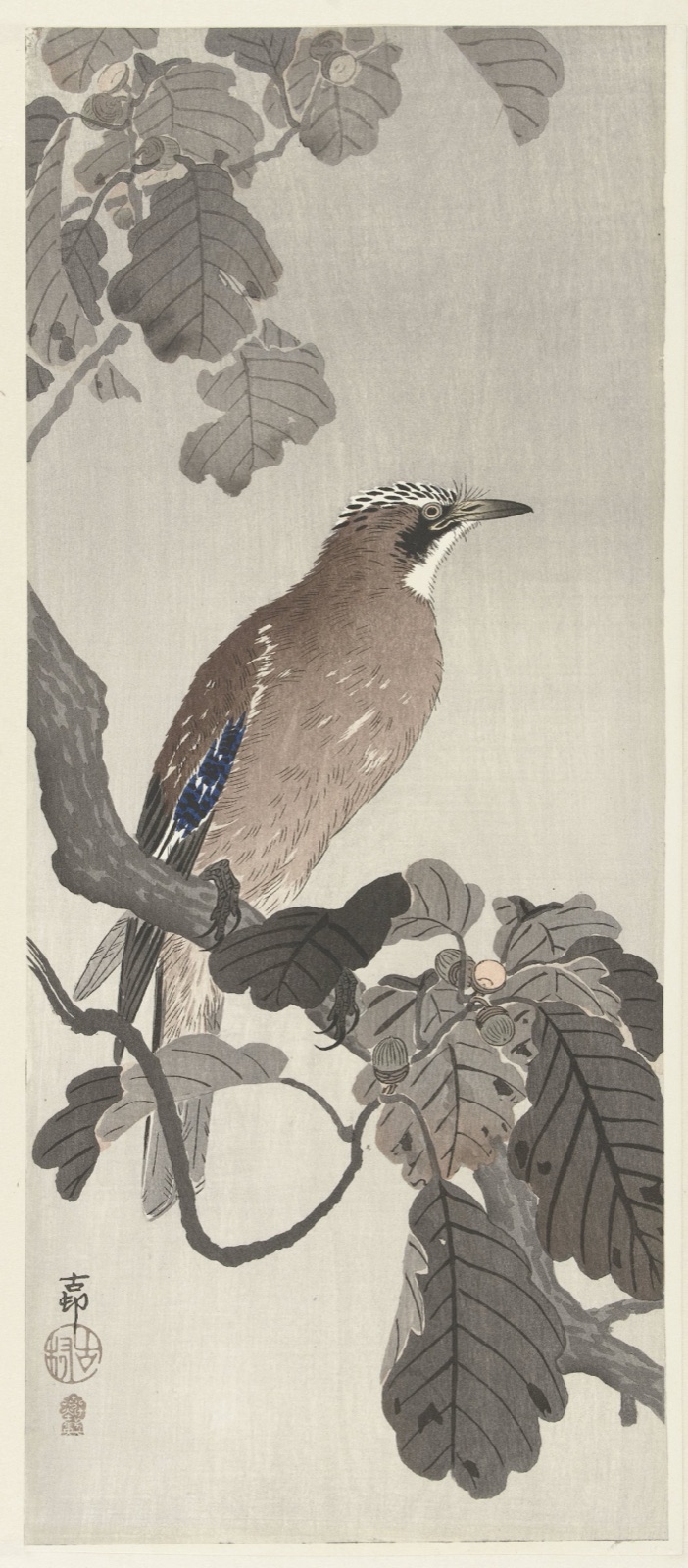Vlaamse gaai op boomtak — Ohara Koson (printmaker); Akiyama Buemon (publisher)