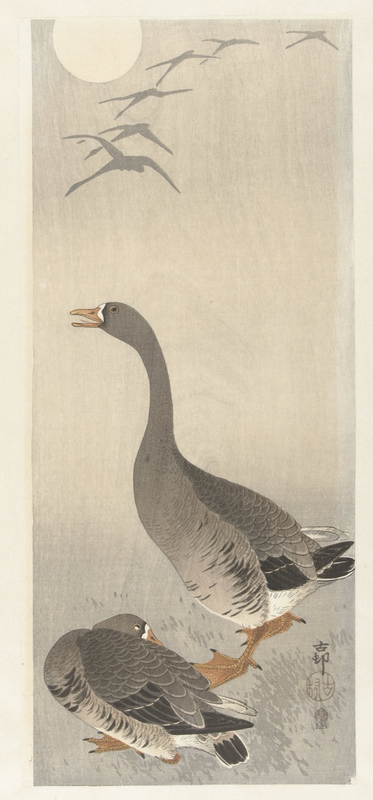Twee ganzen — Akiyama Buemon (publisher); Ohara Koson (printmaker)