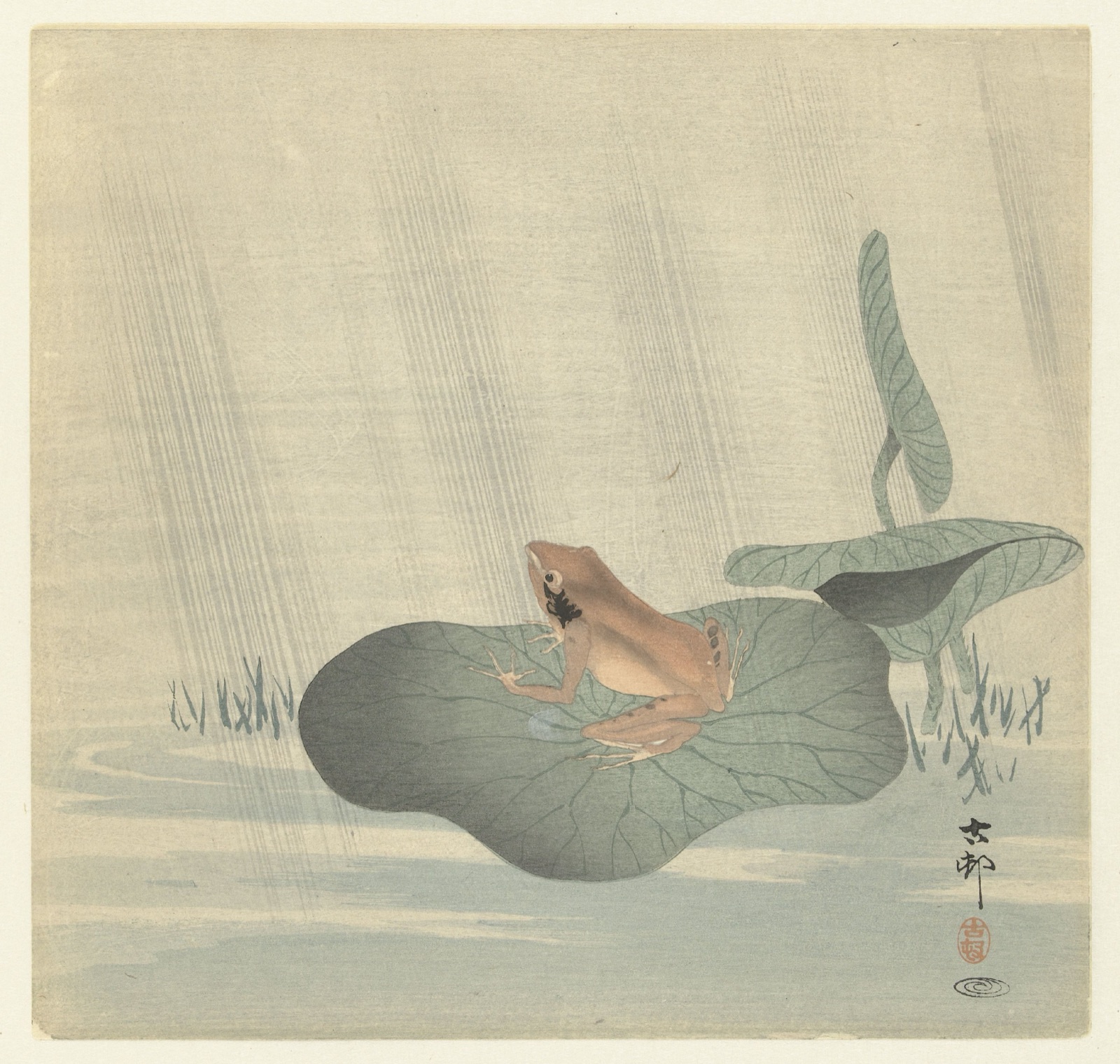 Kikker op lotusblad — Matsuki Heikichi (publisher); Ohara Koson (printmaker)