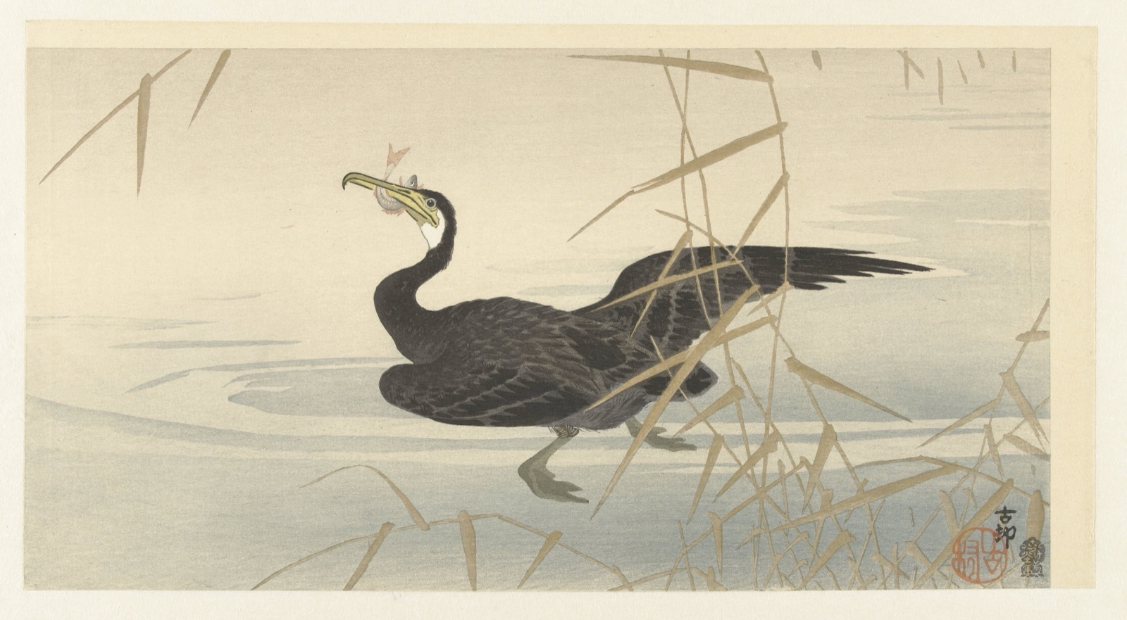 Aalscholver met vis — Akiyama Buemon (publisher); Ohara Koson (printmaker)