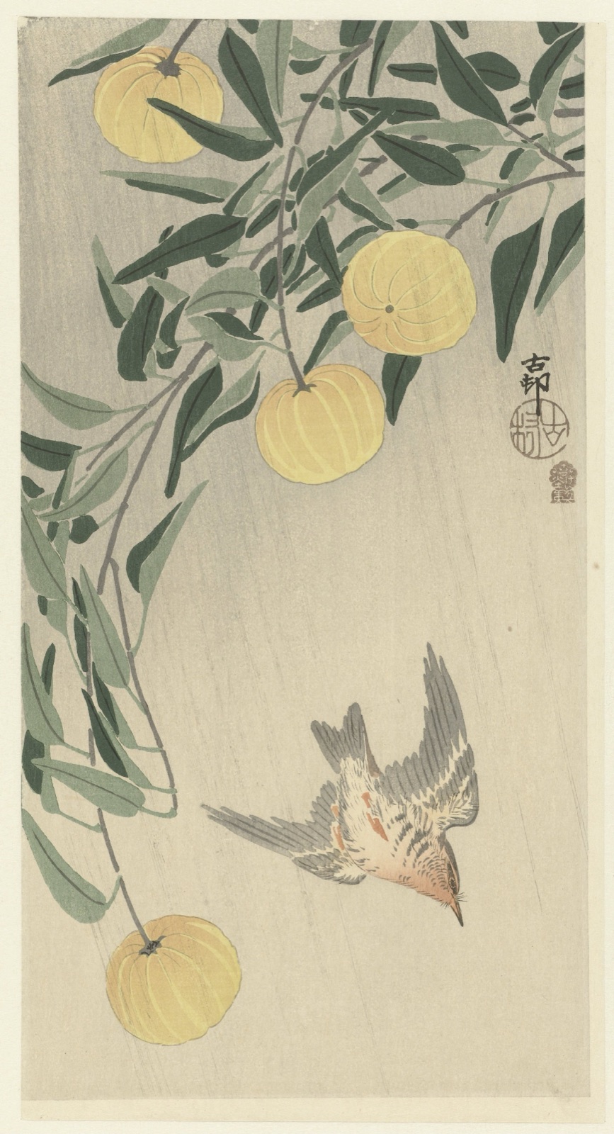 Koekoek in de regen — Akiyama Buemon (publisher); Ohara Koson (printmaker)