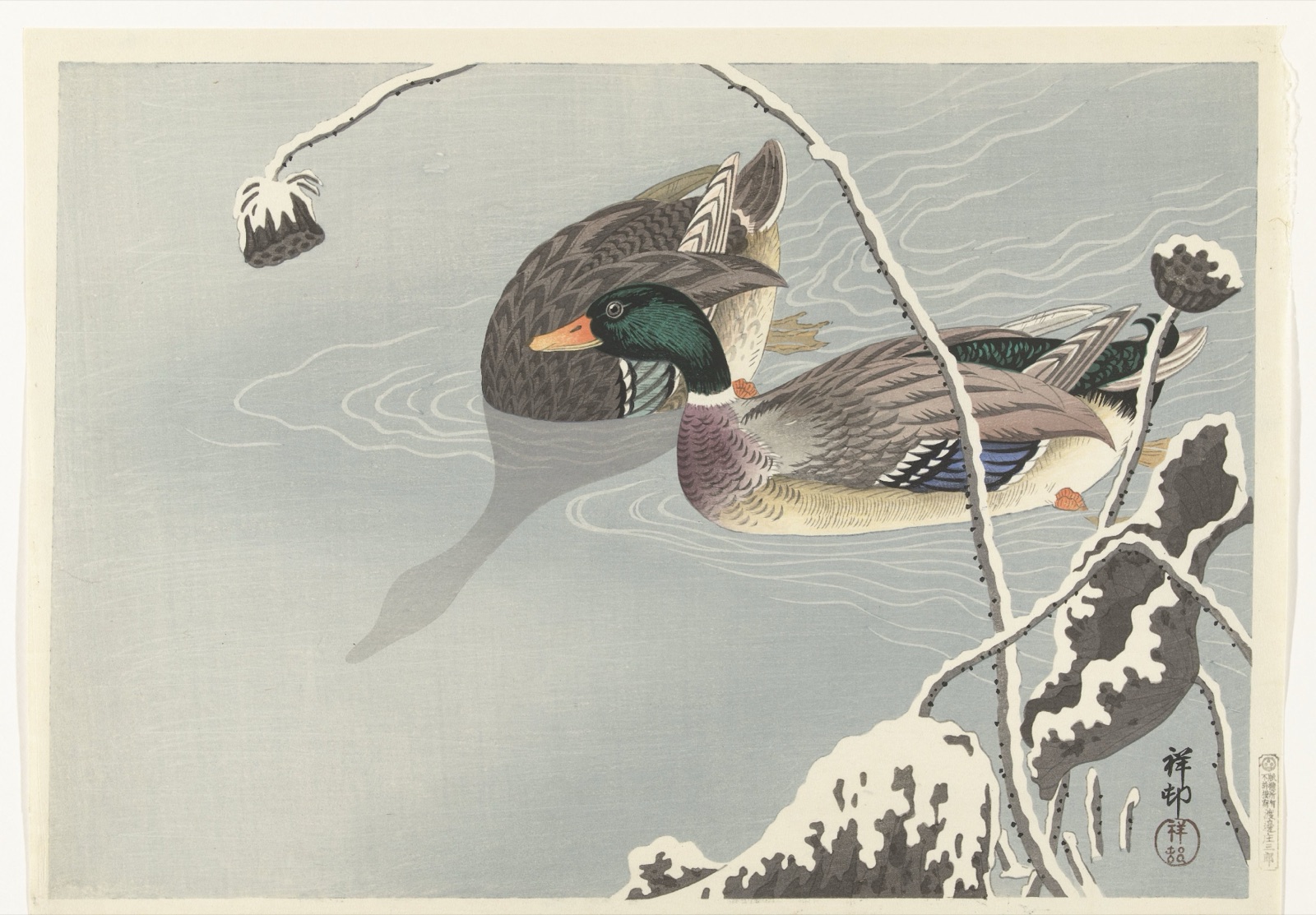 Two Mallards near a Snow-Covered Lotus — Ohara Koson (printmaker); Watanabe Shōzaburō (publisher)