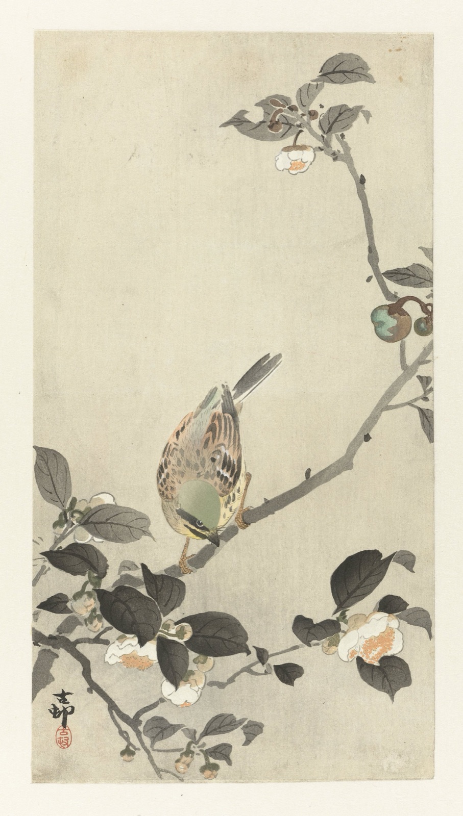 Gors op bloesemtak — Ohara Koson (printmaker); Matsuki Heikichi (publisher)