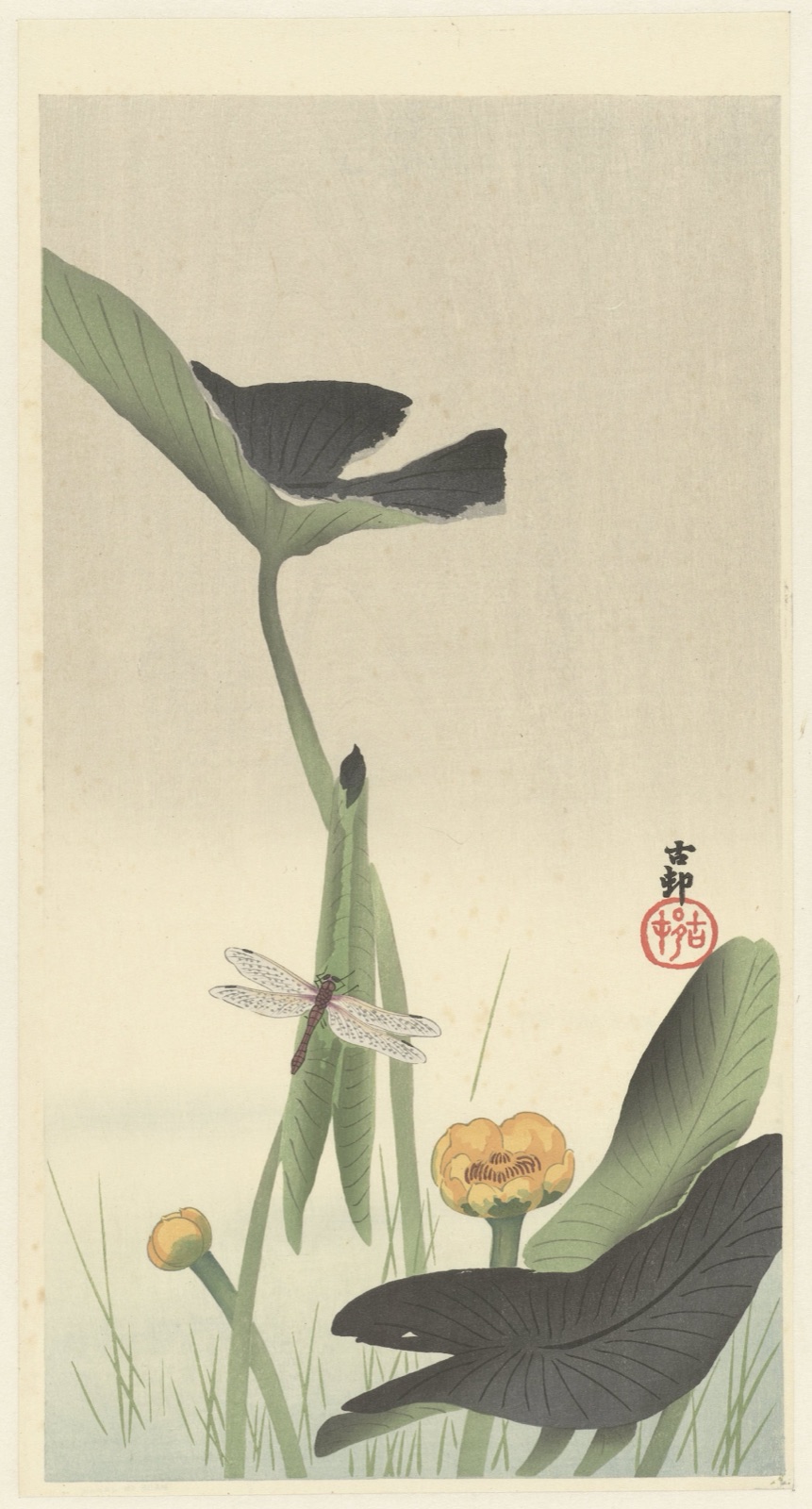 Libelle en lotus — Ohara Koson (printmaker); Matsuki Heikichi (publisher)
