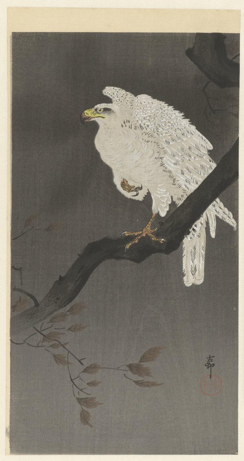 Sneeuwarend op een boomtak — Matsuki Heikichi (publisher); Ohara Koson (printmaker)