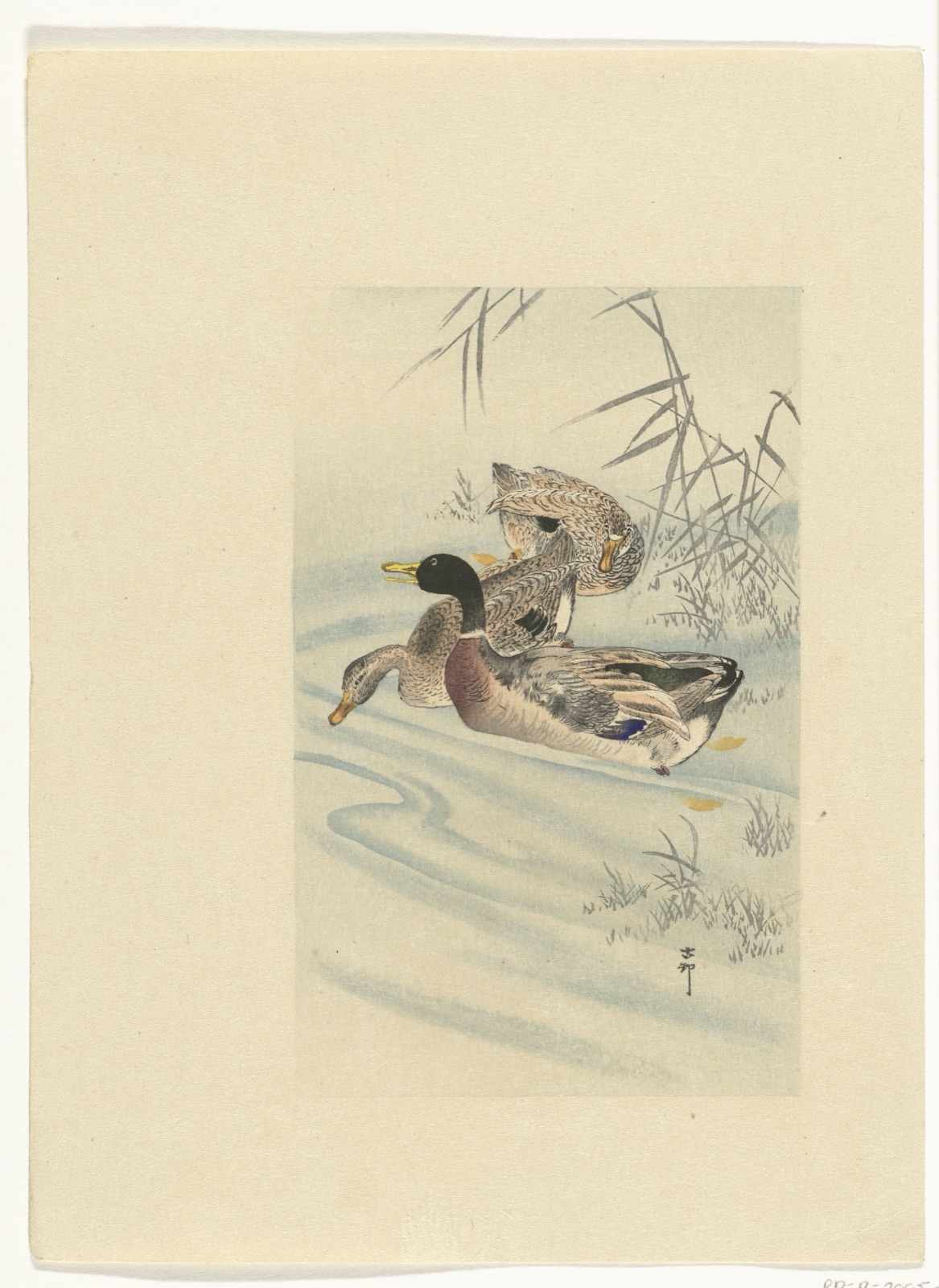 Drie eenden in ondiep water met riet — Ohara Koson (printmaker)