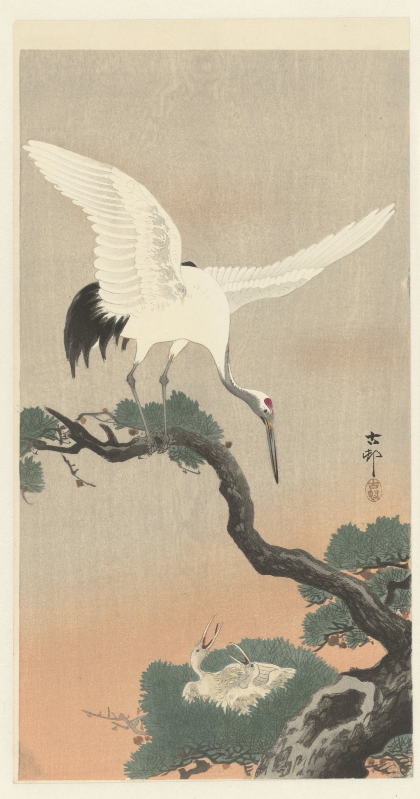 Japanse kraanvogel op tak van pijnboom — Matsuki Heikichi (publisher); Ohara Koson (printmaker)