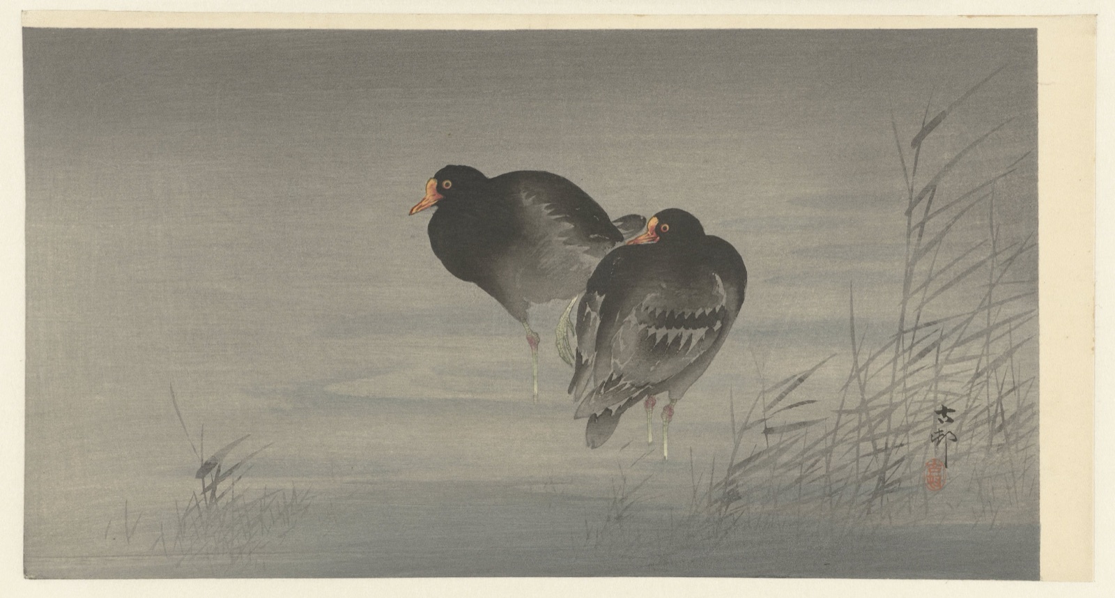 Twee waterhoentjes — Ohara Koson (printmaker); Matsuki Heikichi (publisher)