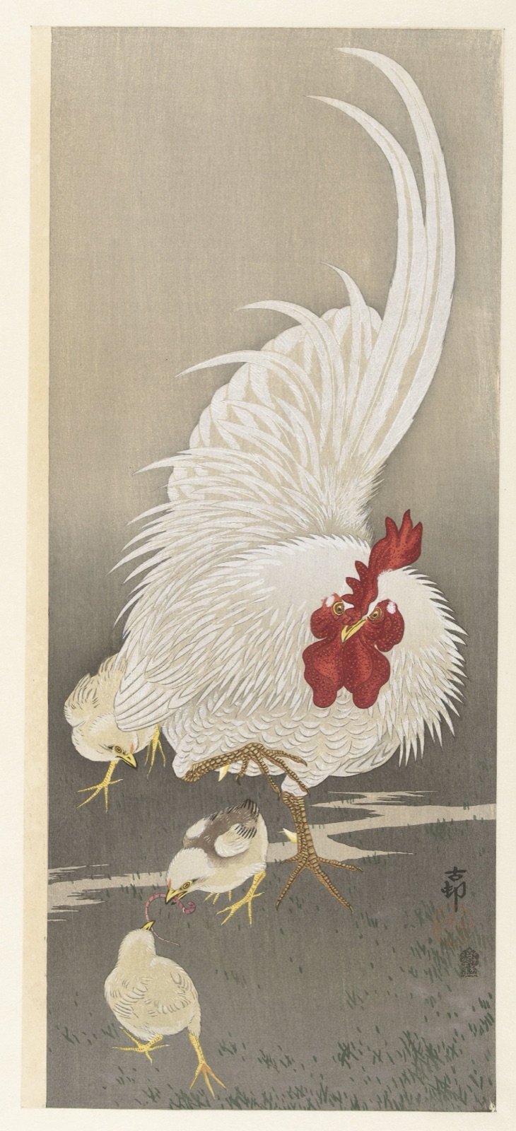 Haan en drie kuikens — Akiyama Buemon (publisher); Ohara Koson (printmaker)