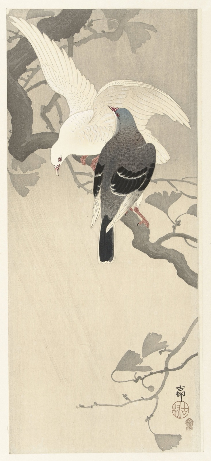 Twee duiven op een tak — Ohara Koson (printmaker); Akiyama Buemon (publisher)