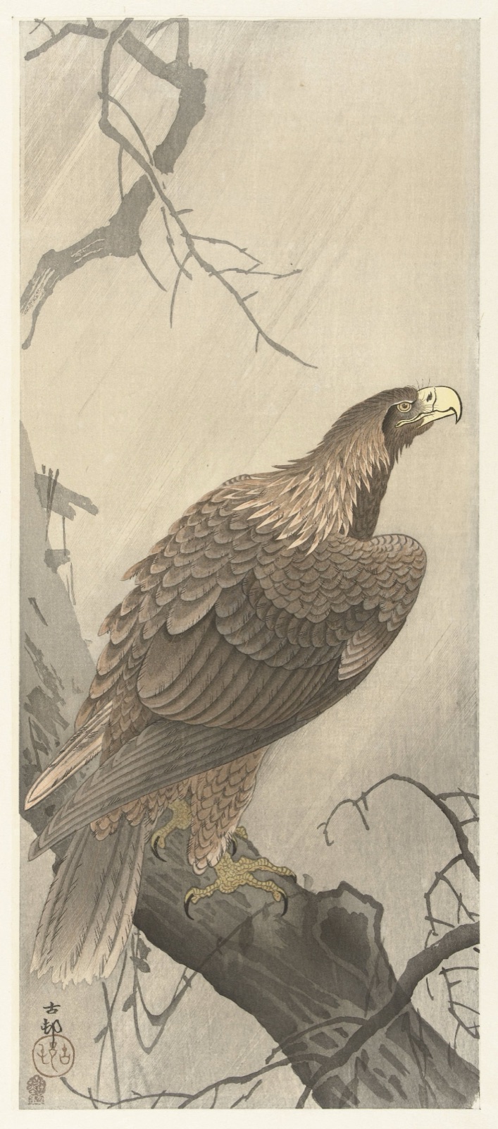 Arend op boomtak — Ohara Koson (printmaker); Akiyama Buemon (publisher)