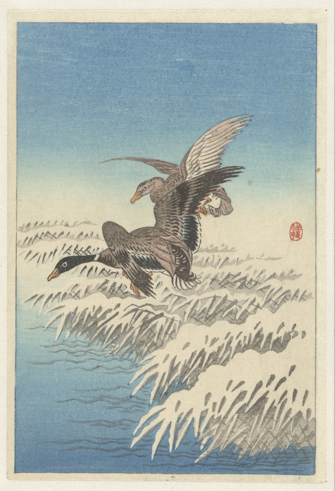 Koppel eenden vliegend boven besneeuwde rietkraag — Ohara Koson (printmaker)