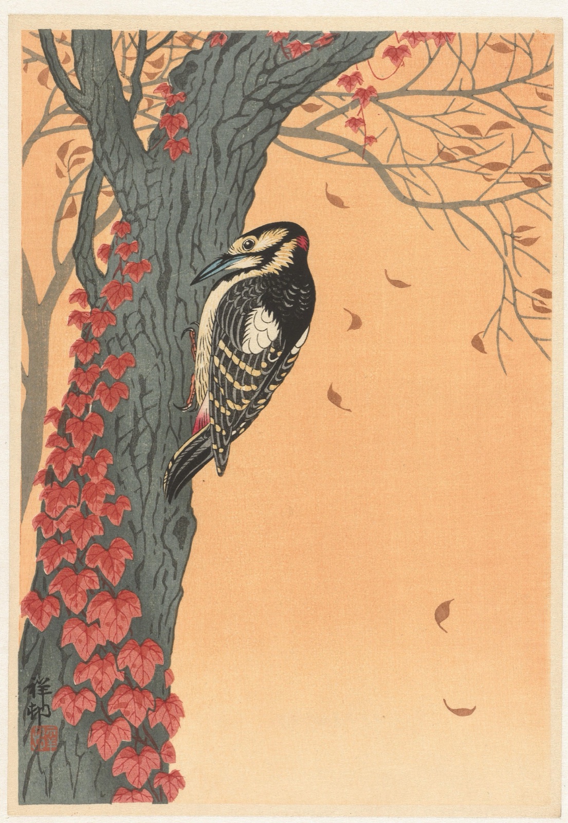 Grote bonte specht in boom met rode klimop — Ohara Koson (printmaker); Watanabe Shōzaburō (publisher)