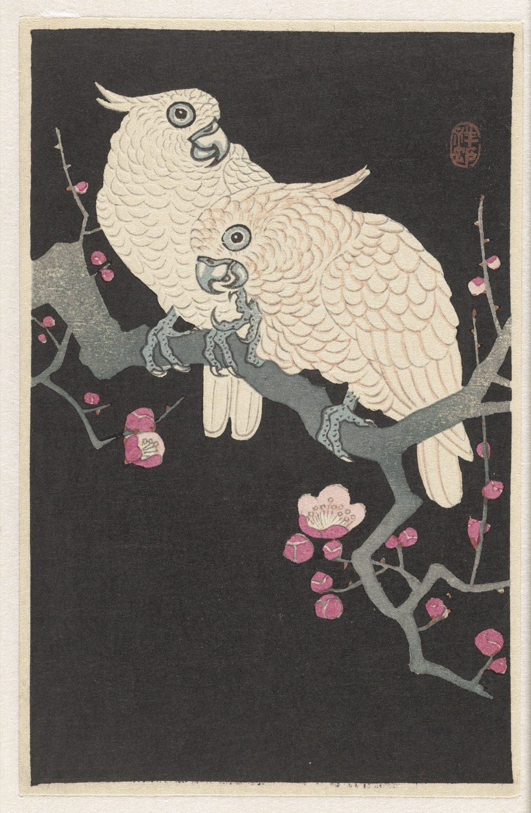 Two cockatoo and plum blossom — Watanabe Shōzaburō (publisher); Ohara Koson (printmaker)