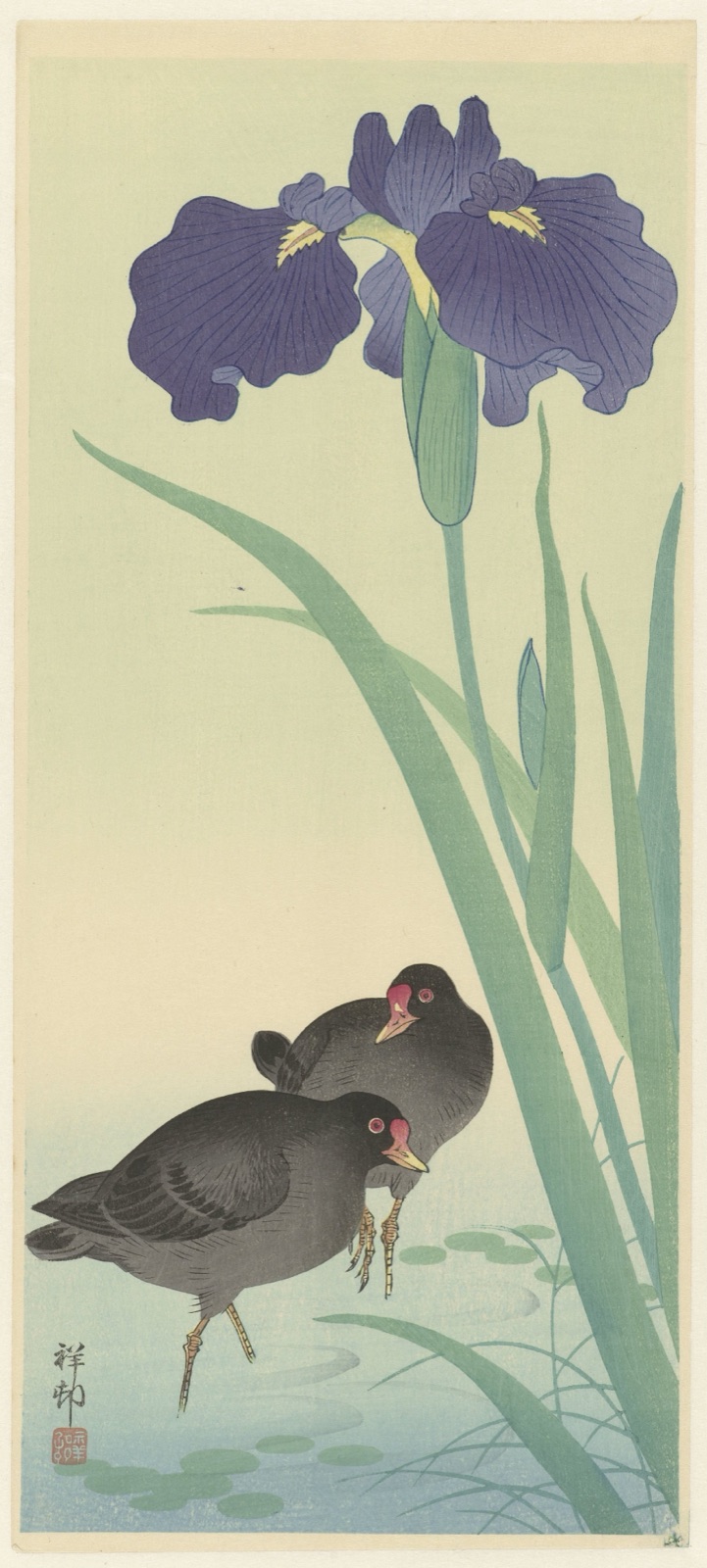 Waterhoentjes en iris. — Watanabe Shōzaburō (publisher); Ohara Koson (printmaker)