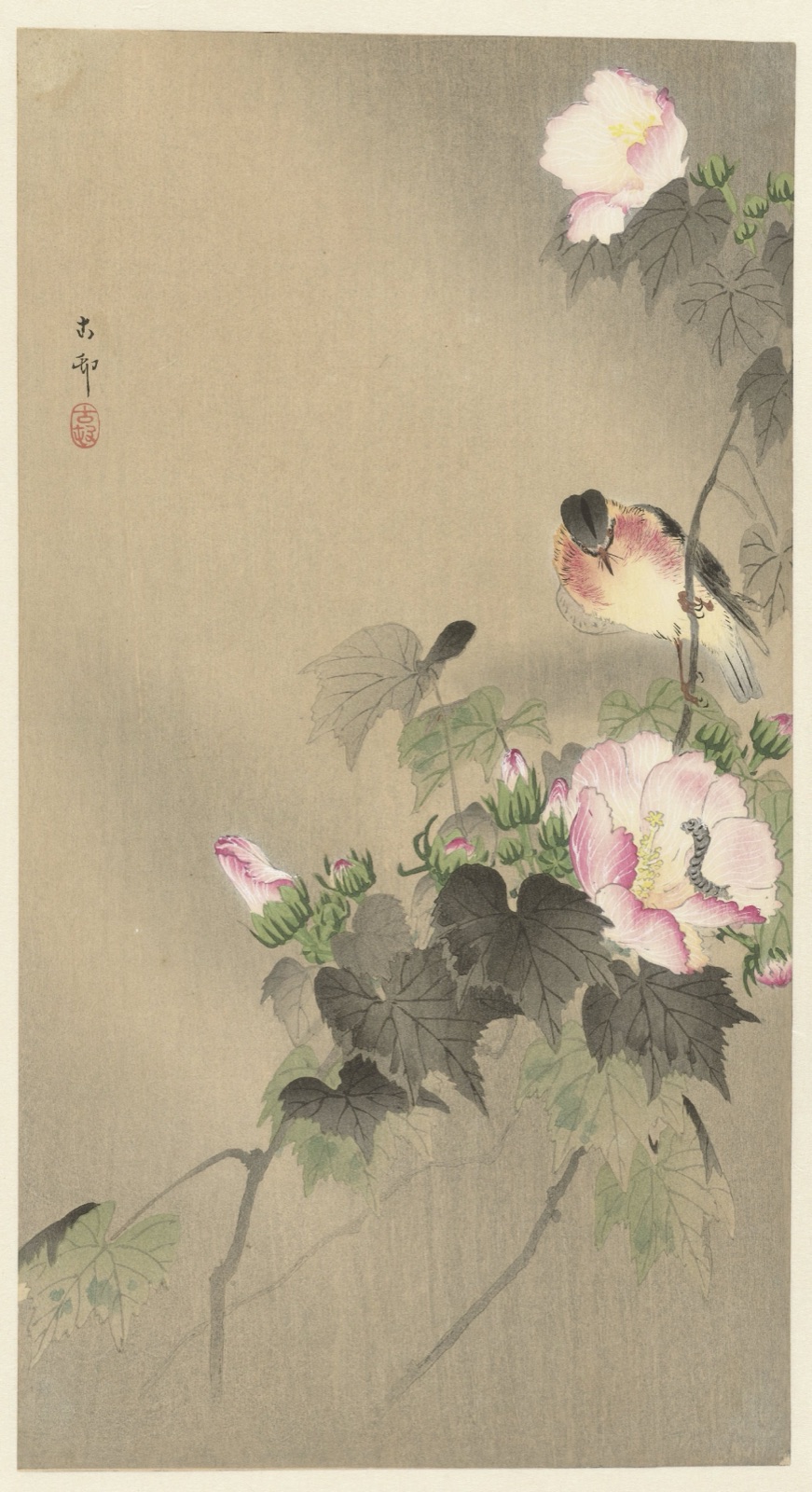 Vogel en rups — Matsuki Heikichi (publisher); Ohara Koson (printmaker)