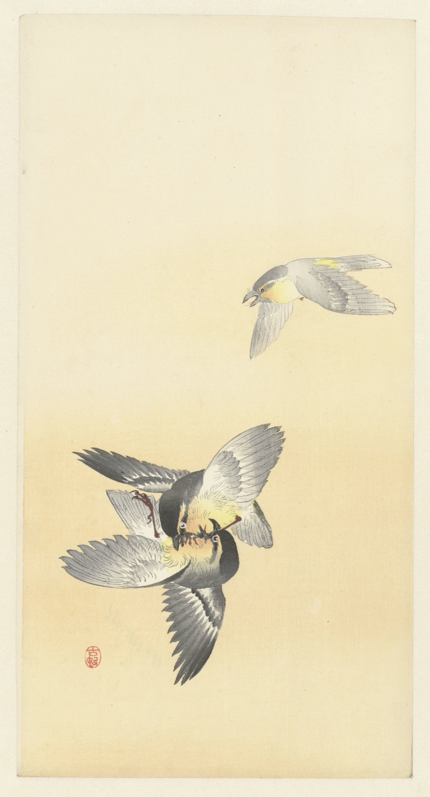 Twee vechtende vogels — Ohara Koson (printmaker)