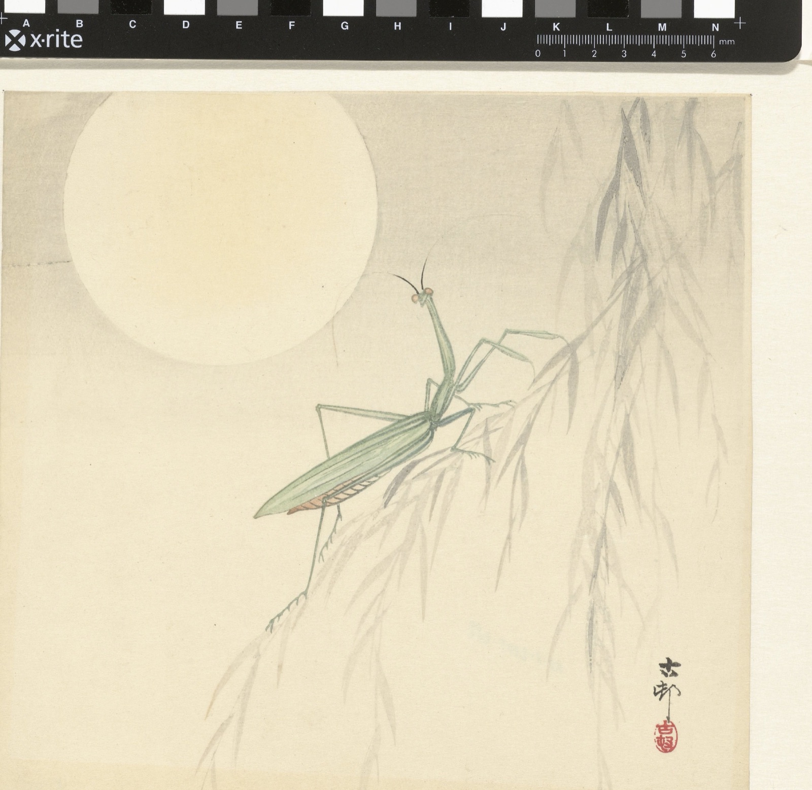 Bidsprinkhaan — Ohara Koson (printmaker)