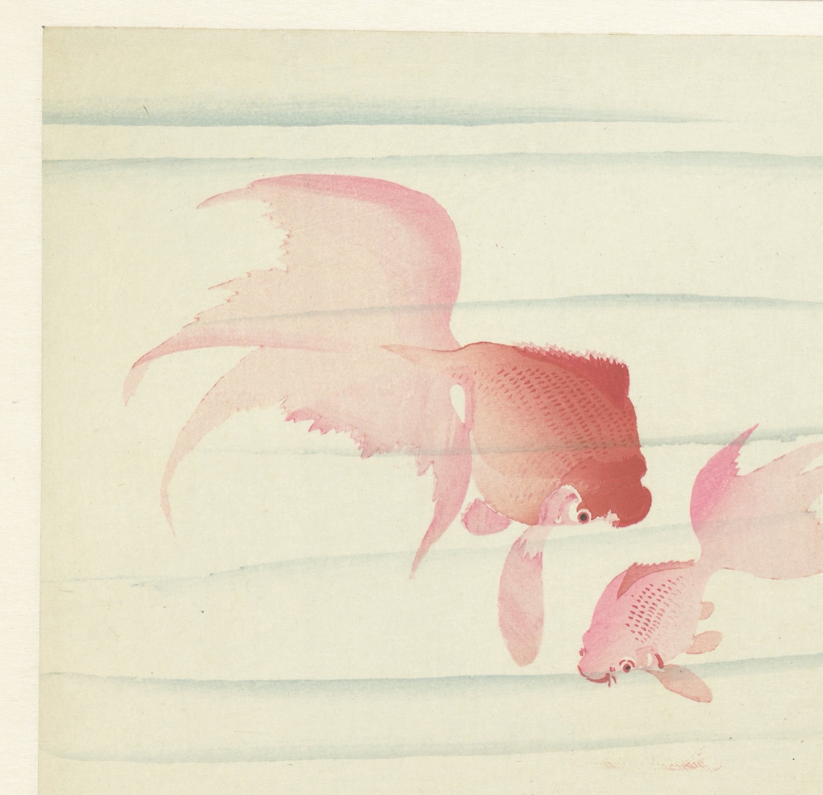 Twee sluierstaarten — Ohara Koson (printmaker)