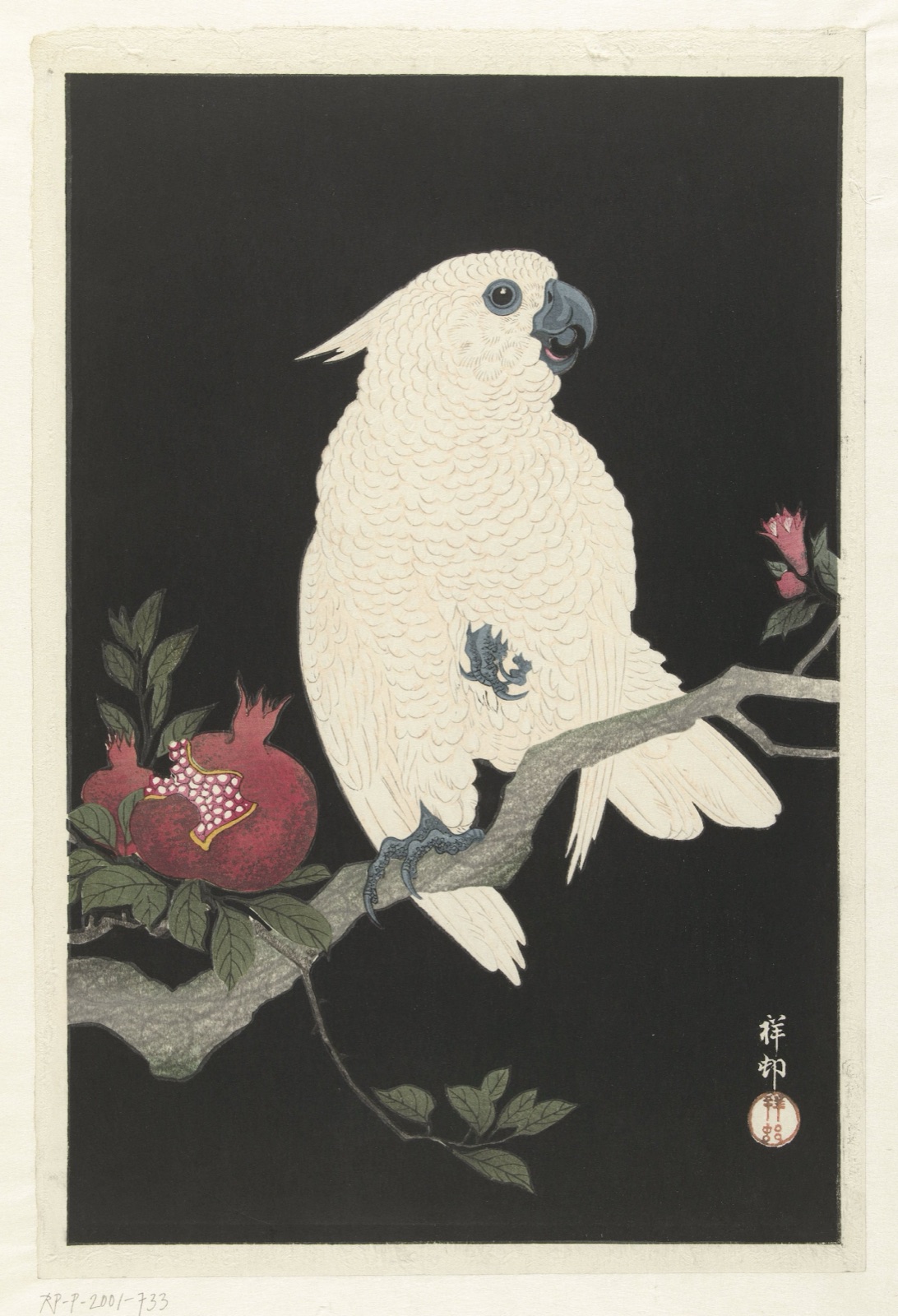 Kaketoe en granaatappel — Ohara Koson (printmaker); Watanabe Shōzaburō (publisher)