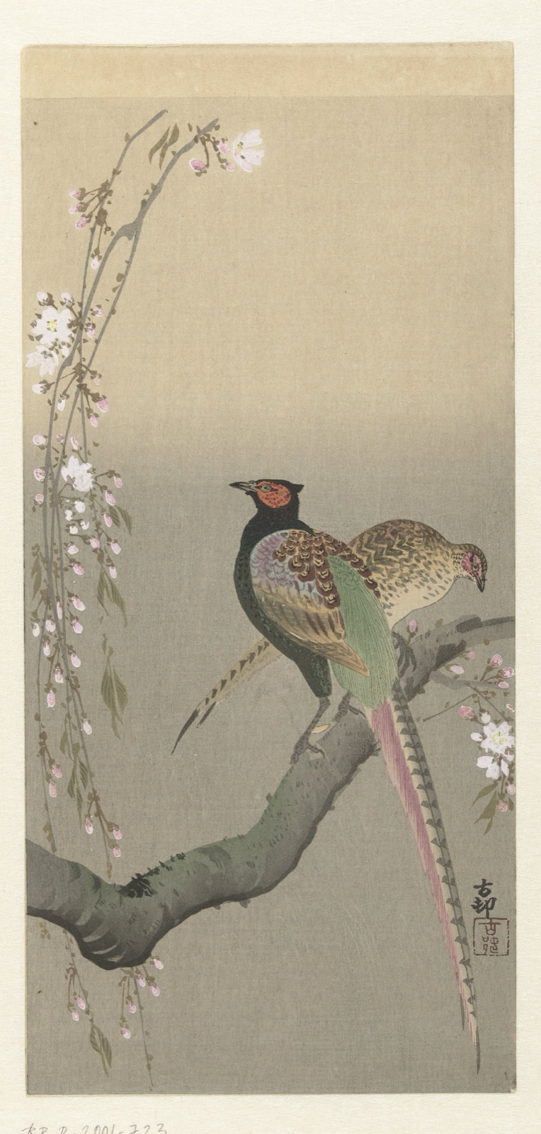 Koppel fazanten en kersenbloesem — Ohara Koson (printmaker)