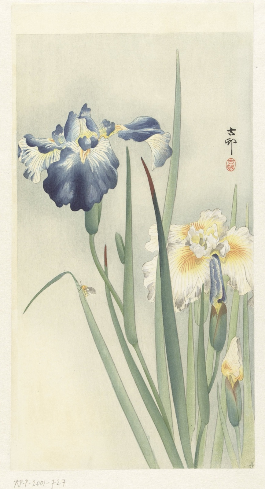Irissen — Ohara Koson (printmaker)