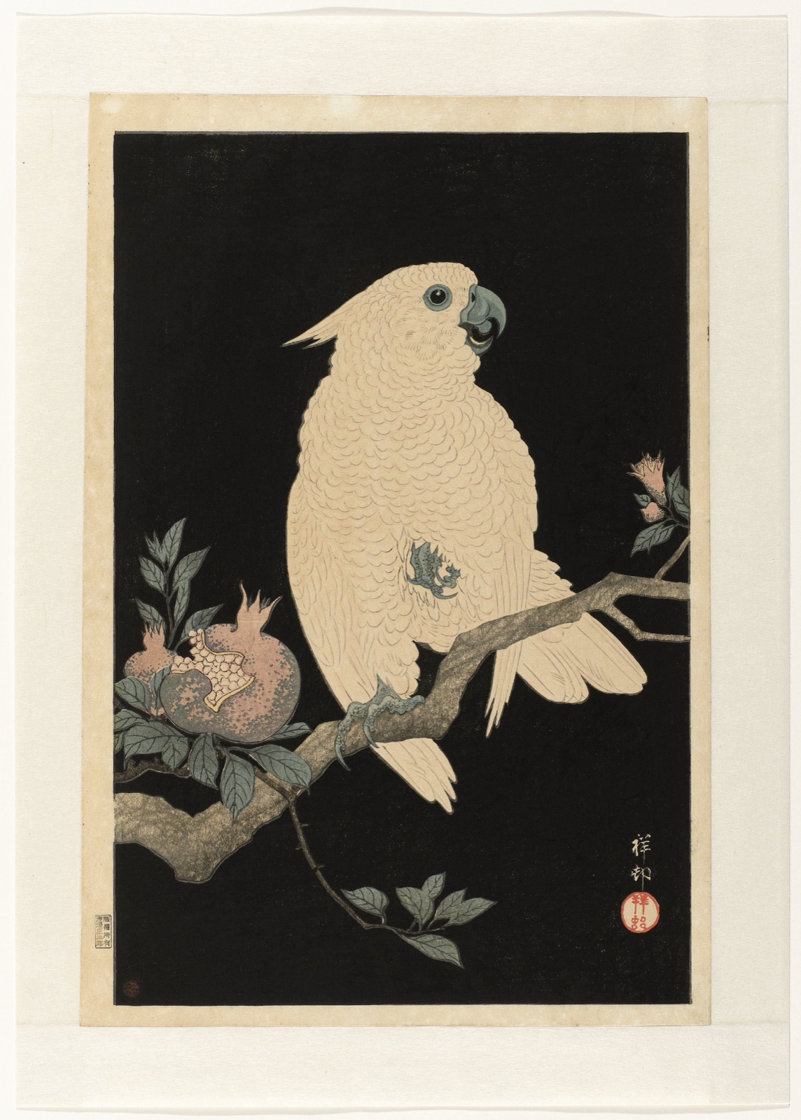 Kaketoe met granaatappel — Ohara Koson (printmaker); Watanabe Shōzaburō (publisher)
