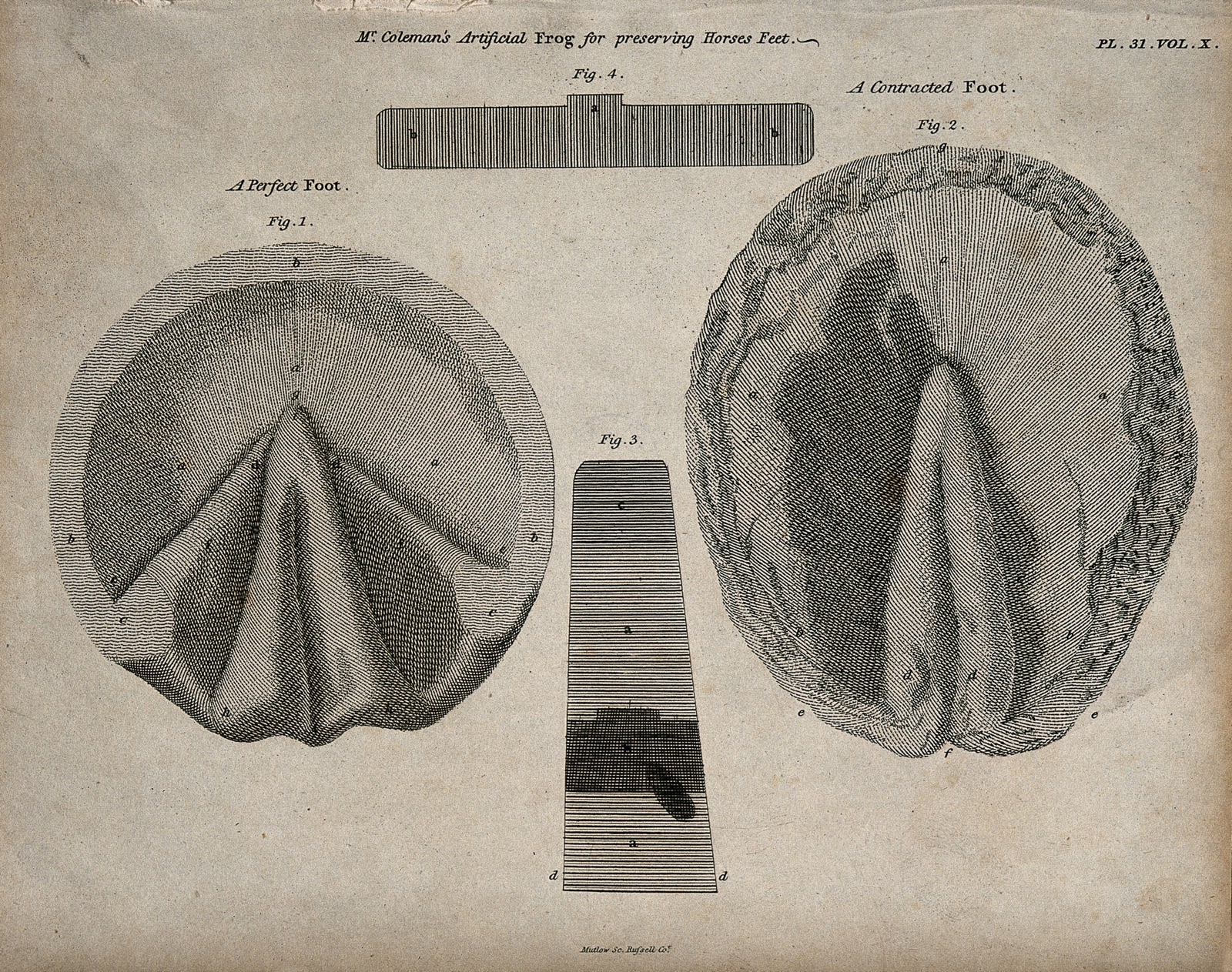 Horses' hooves, seen from below: four figures showing both perfect and contracted feet, demonstrating Mr. Coleman's 'artificial frog' for the preservation of horses' hooves. Etching by J. Barlow, 1802. — Barlow, Inigo