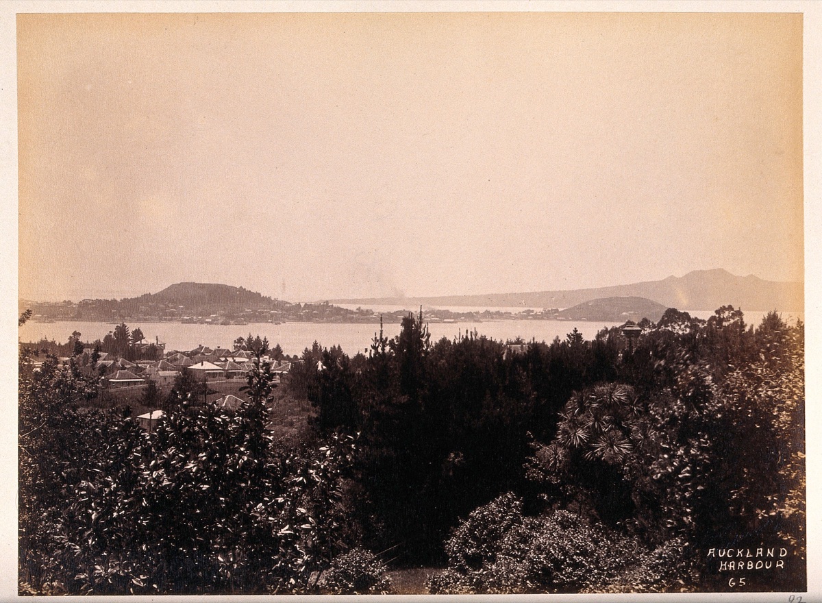 Auckland, New Zealand: part of Auckland harbour. Albumen print.