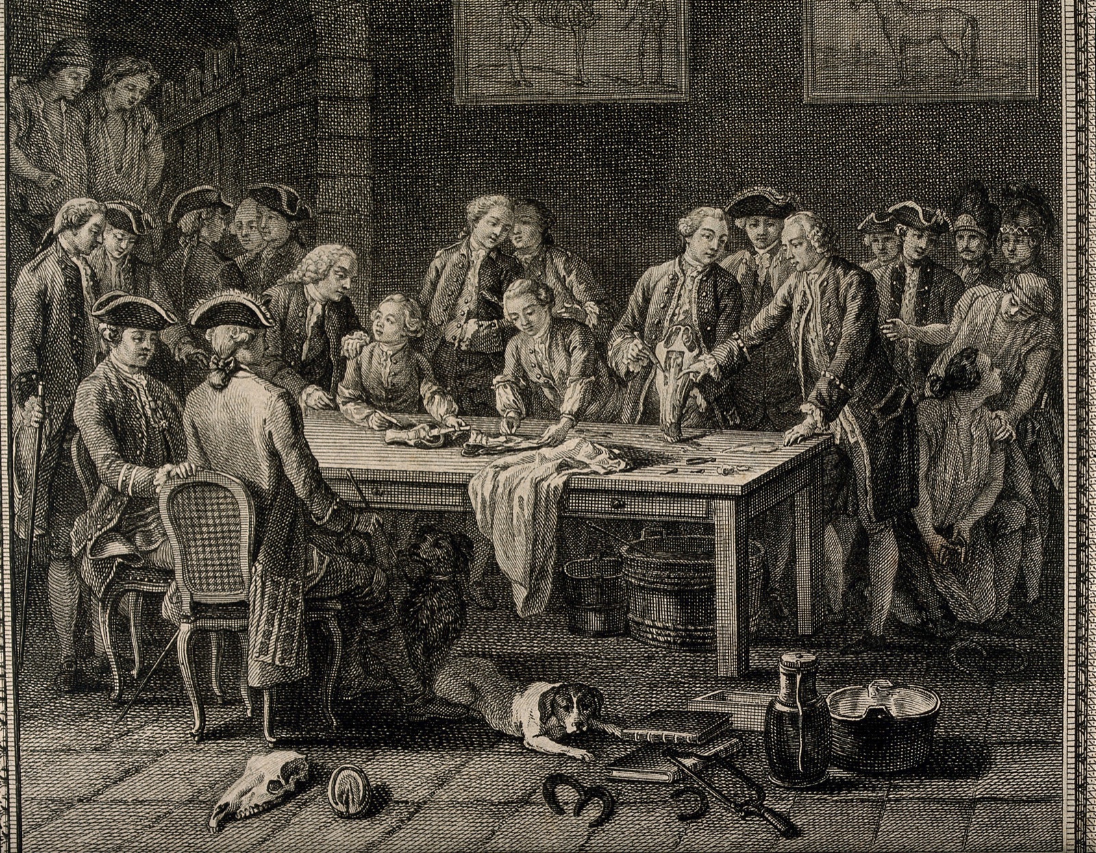 Men with two boys attending a demonstration on the anatomy of the horse. Etching with engraving by Prevost after C.F. Sollier, 17--. — Sollier, Claude Florentin, -1784; Benoît-Louis Prévost