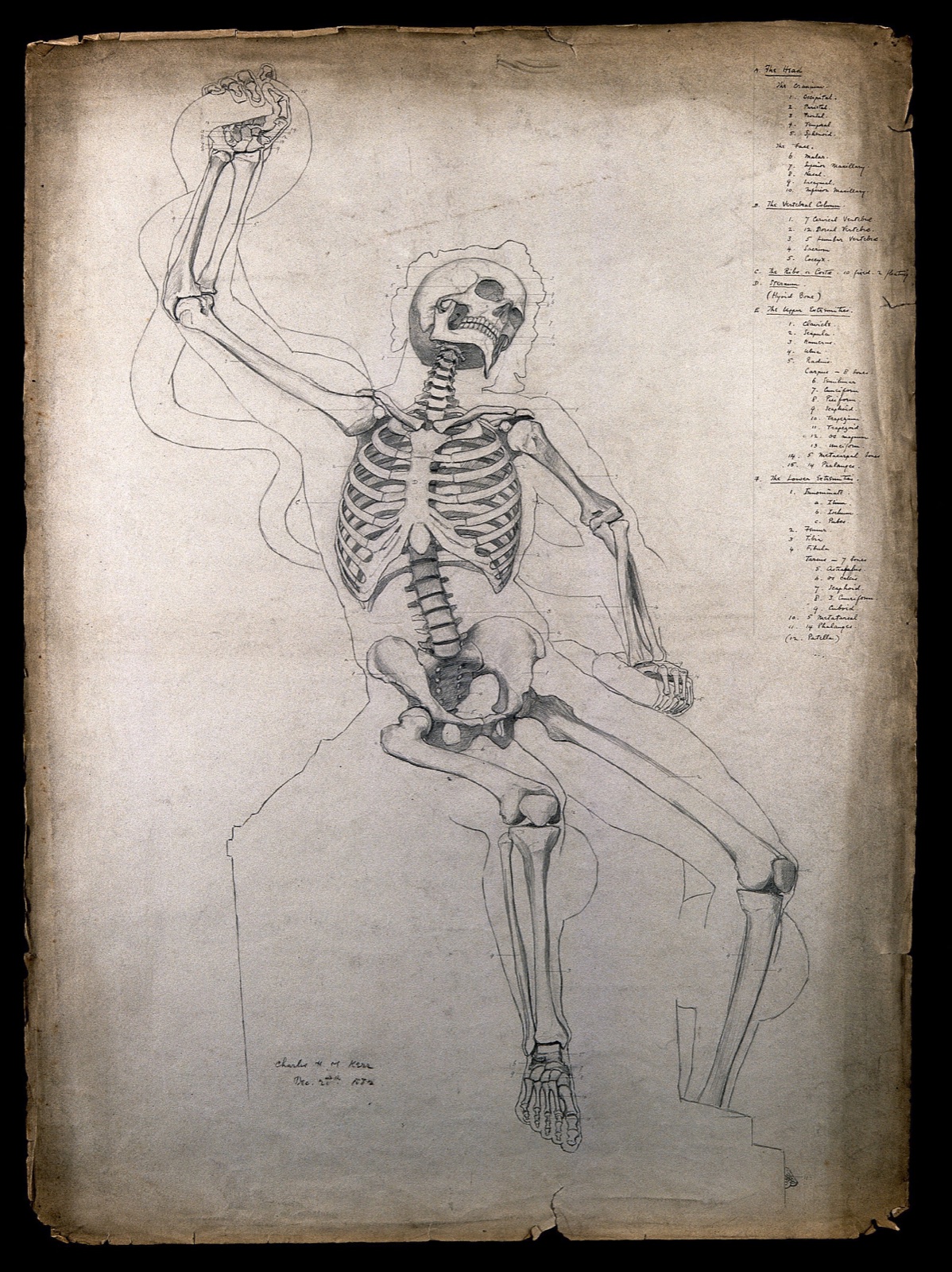 The seated skeleton of Laocoön, wrestling with a snake. Pencil drawing by C.H.M. Kerr, 1882. — Charles H. M. Kerr