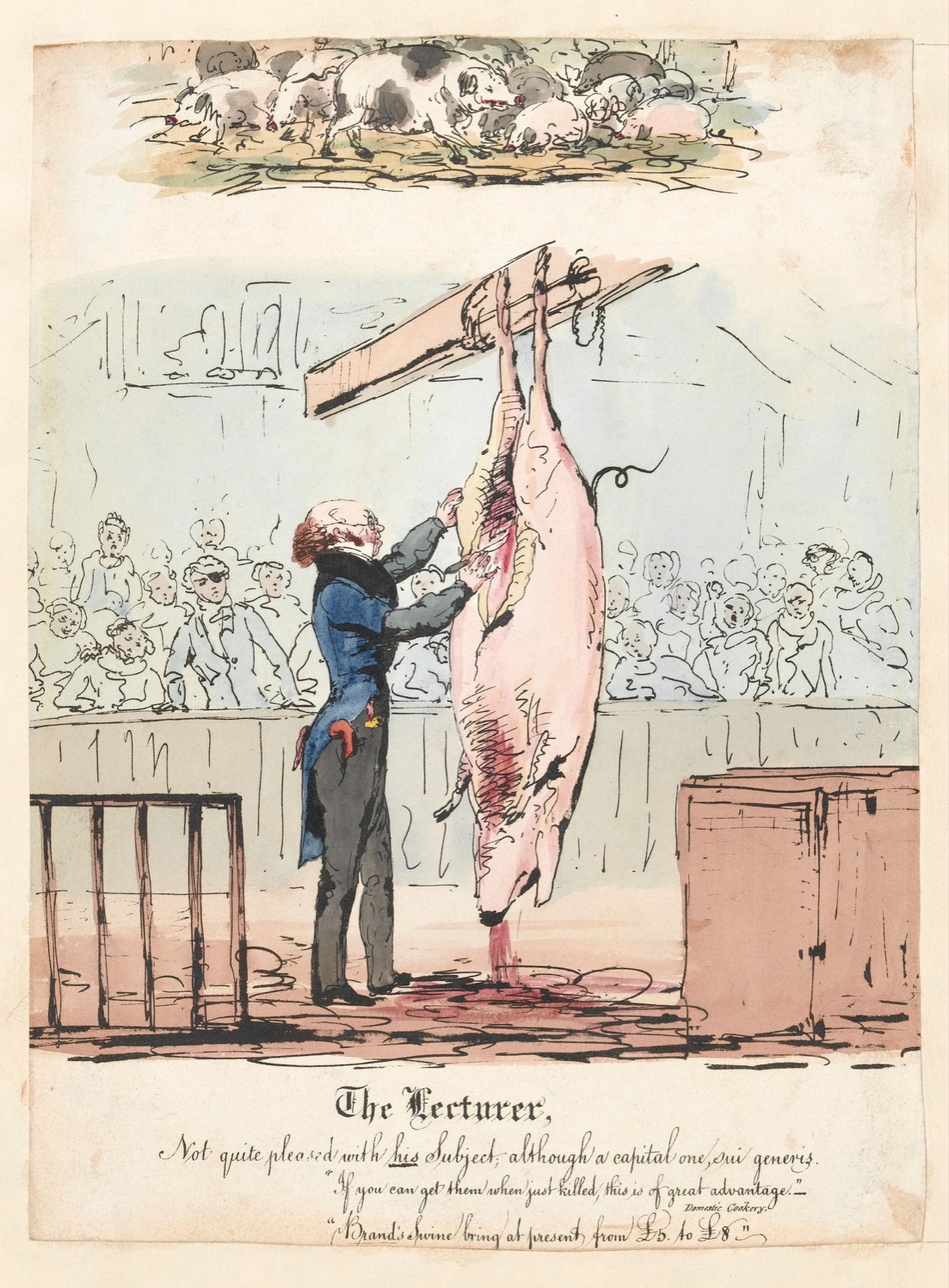 Robert Knox lecturing on the anatomy of the pig. Coloured lithograph. — Nimmo, R. H.